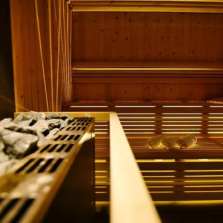 Laguna Beskidów - Forest * Zarzecze (Silesia)