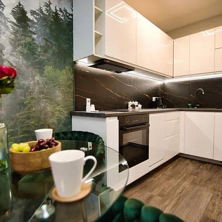 Laguna Beskidów - Forest * Zarzecze (Silesia)