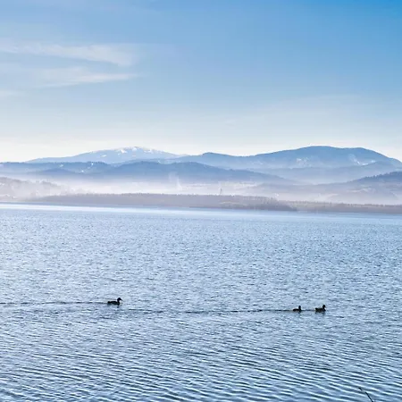 Laguna Beskidow - Forest Zarzecze (Silesia)