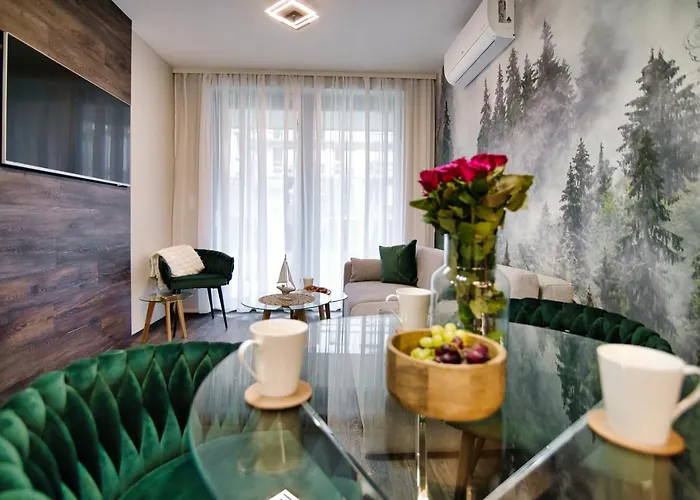 Laguna Beskidow - Forest *