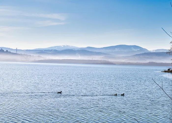 Laguna Beskidow - Forest Zarzecze (Silesia)